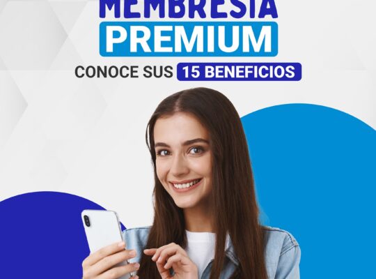 Previser
