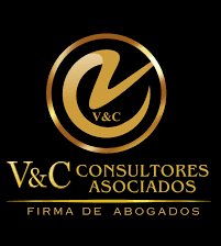 Vg consultores asociados sas