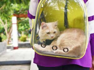 Bolso Para Gato O Perro Bolso Maleta