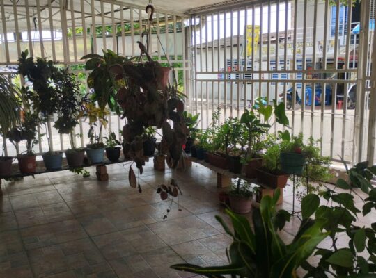 SE VENDE CASA EN FLORENCIA