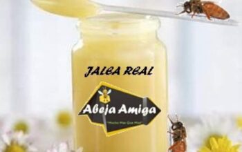 Abeja Amiga