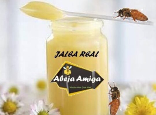 Abeja Amiga