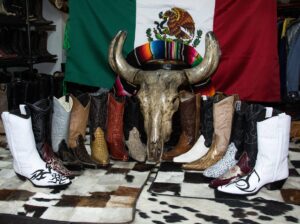 Botas Texanos Cocodrilo