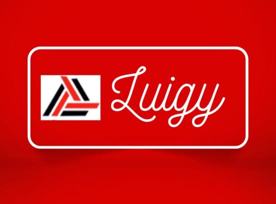 Fabrica Bolsos Luigy