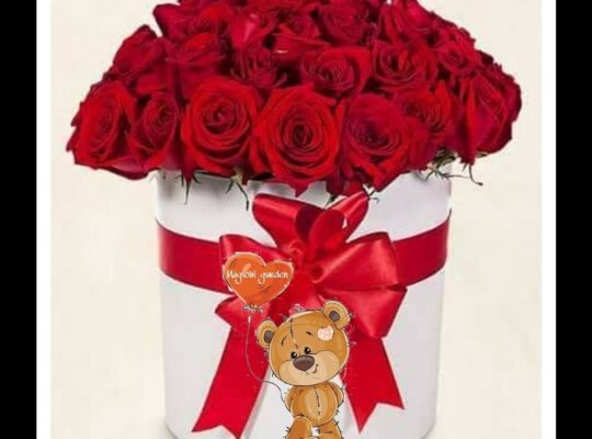 Floristeria Magical Garden